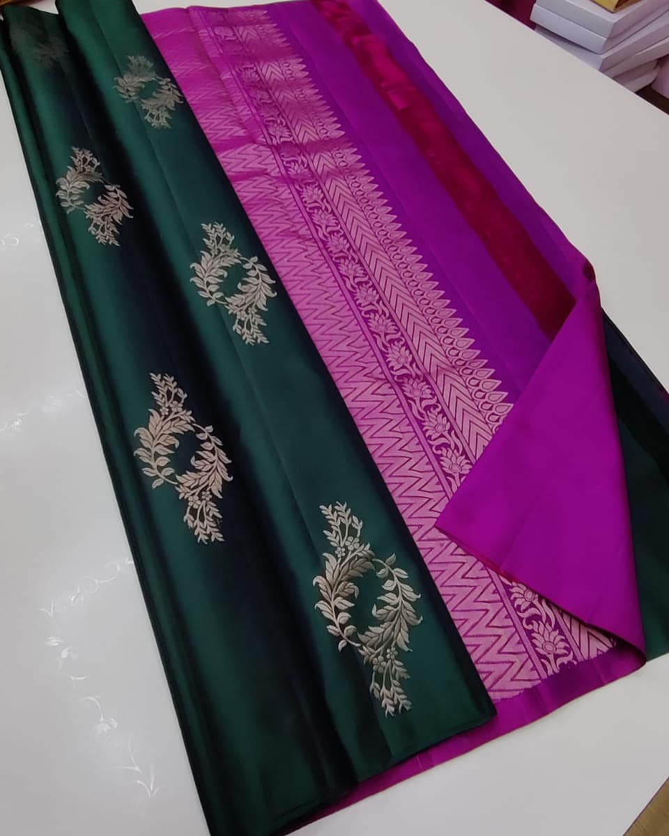 Kanchipuram Borderless Silk Saree